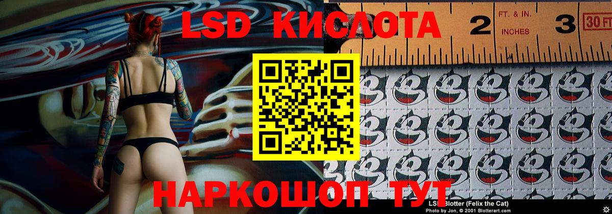 где найти   Наркотические марки 1500мкг  Вход с VPN  Щёлково  Марки N-bome 